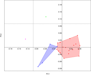 Intraspecific variation of humeri in Upper Jurassic ichthyosaurs, including Ophthalmosaurus icenicus (red), Brachypterygius extremus (blue), Nannopterygius enthekiodon (green) and LEICT G1.2001.016 (pink).